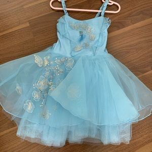 Princess Cinderella Dress